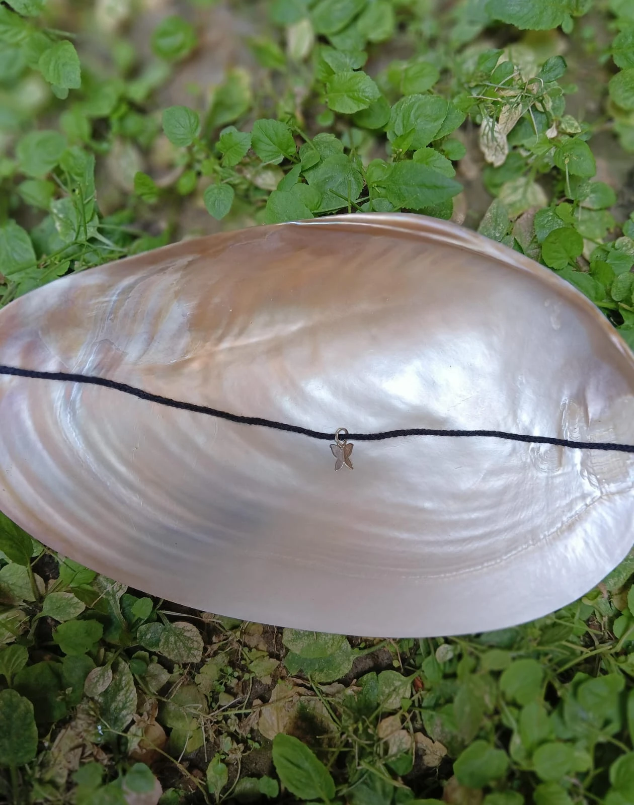 Silver butterfly anklet